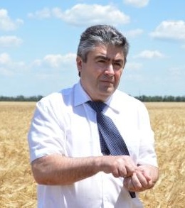 Трудно быть богом. История многолетнего успеха выращивания хлебов