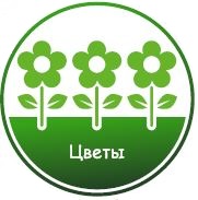 Рекордный урожай — научный подход и удача