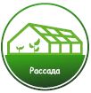 Рекордный урожай — научный подход и удача