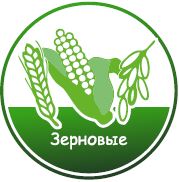 Рекордный урожай — научный подход и удача