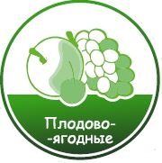 Рекордный урожай — научный подход и удача
