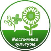 Рекордный урожай — научный подход и удача