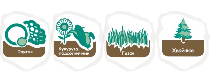 Ним — чудо-дерево XXI века. Для растений и человека.