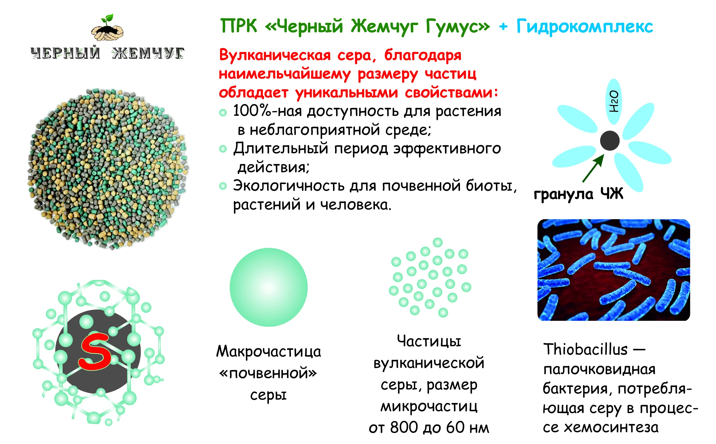 Картофель после ливней и градобоя