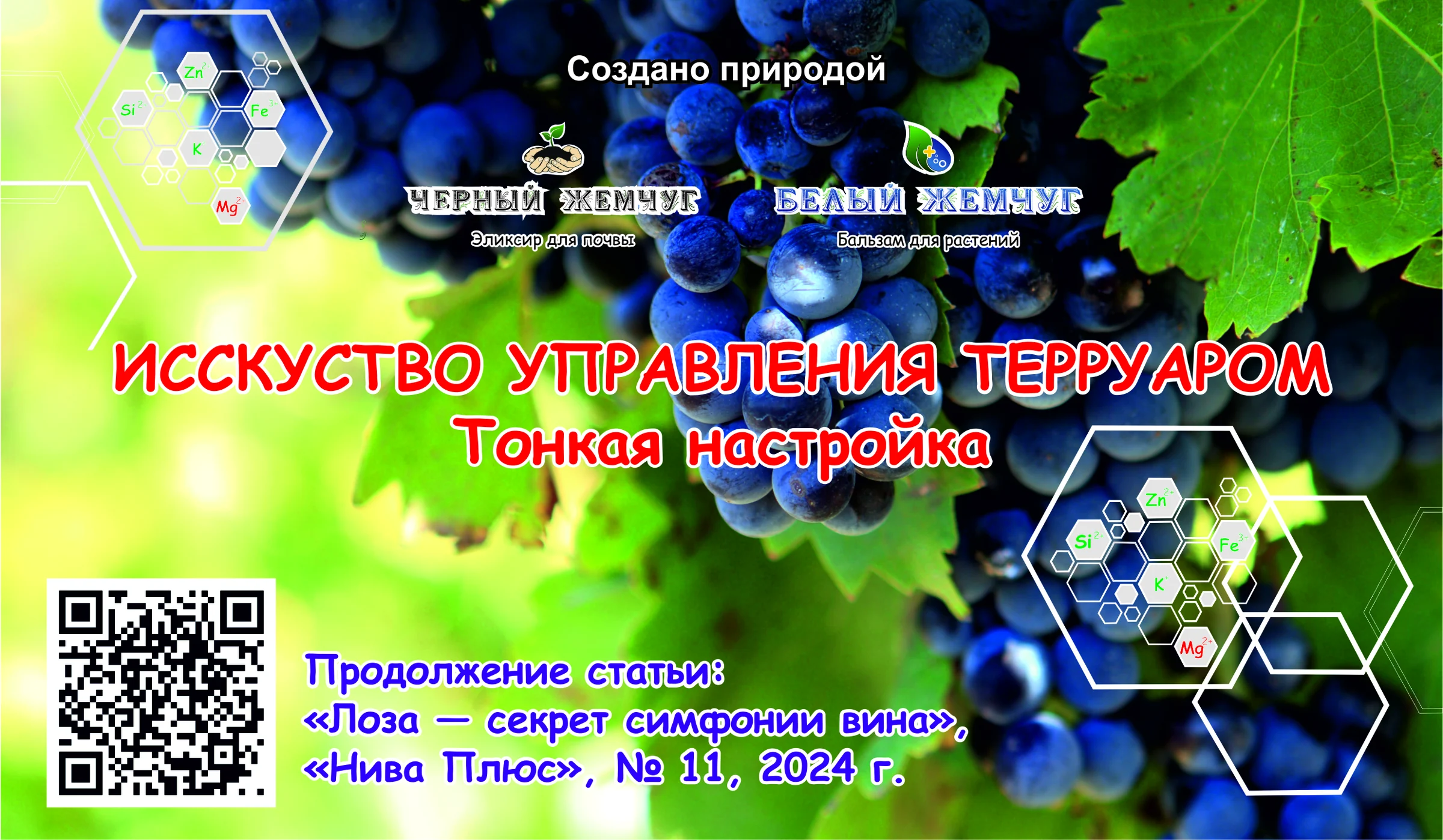 Искусство управления терруаром