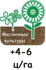 Монгольский опыт — это свыше 60 ц/га (!) в условиях низкой влагообеспеченности