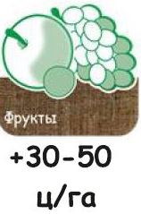 Монгольский опыт — это свыше 60 ц/га (!) в условиях низкой влагообеспеченности