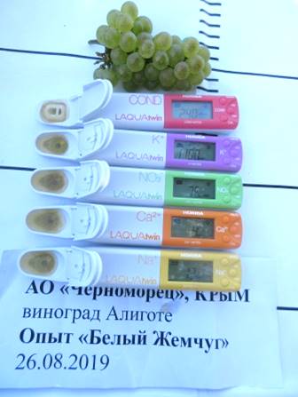 Иллюстрация к материалу АгроПлюс