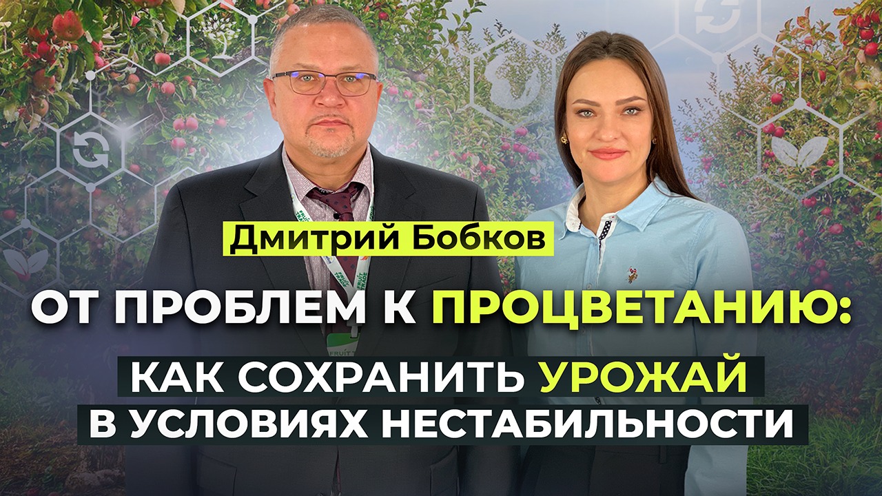 От проблем к процветанию. Как сохранить урожай в условиях нестабильности