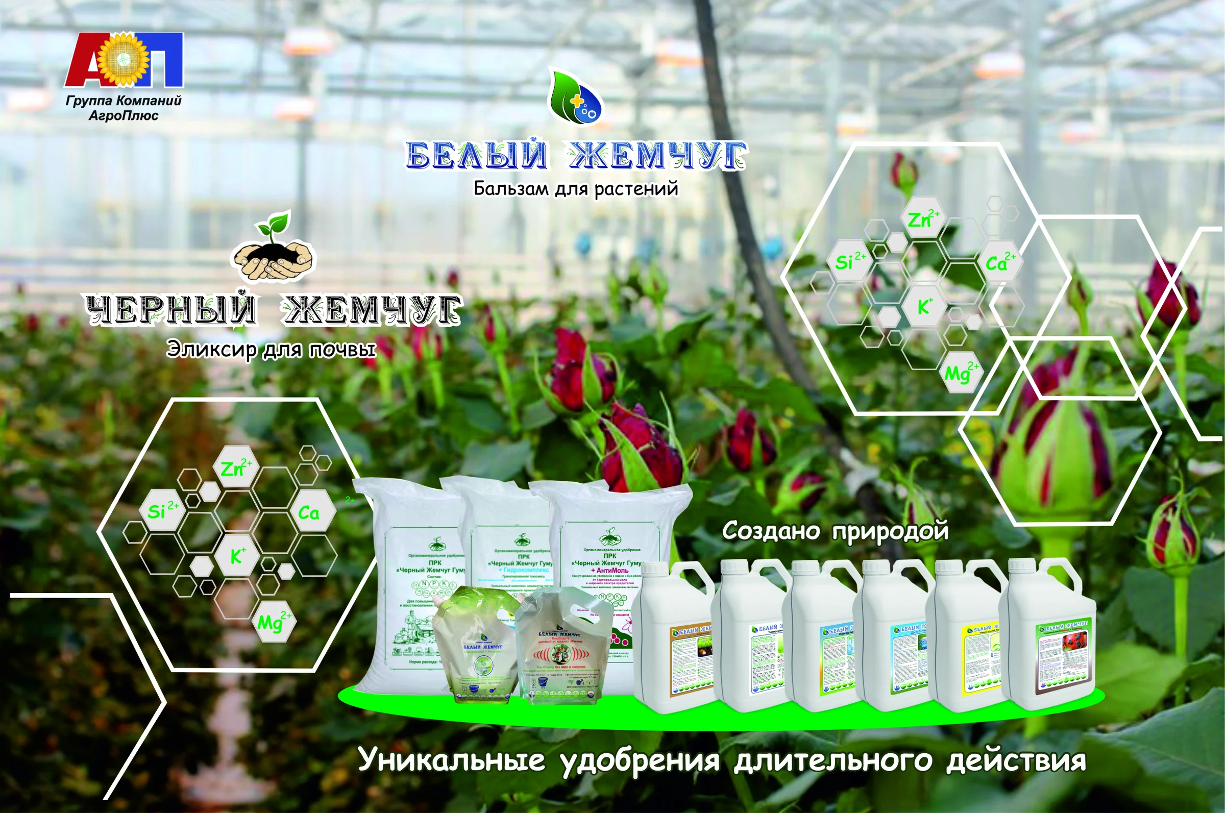 Как вырастить красивые цветы в профессиональном сегменте