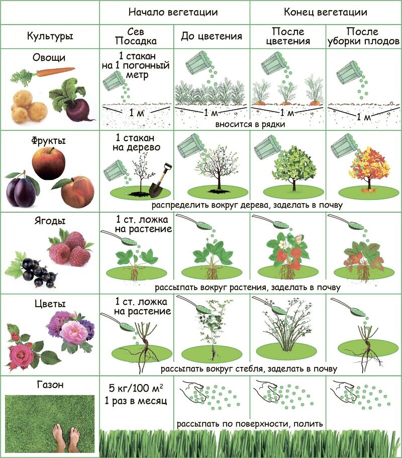 Периоды растений. Схема подкормки клубники. Схема удобрения растений. Схема подкормки клубники таблица. Удобрение для вегетации растений.